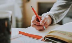 Featured image of post Article